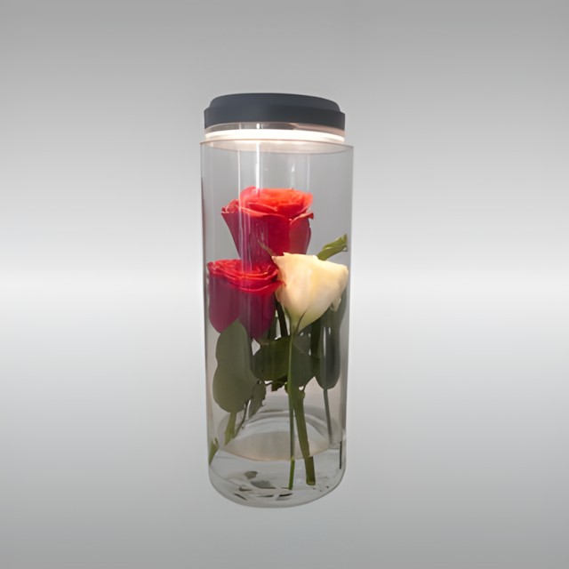 水培花灯