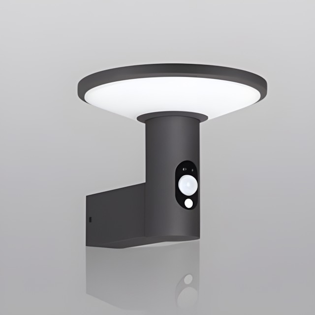 雷克斯壁灯 REX